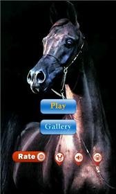 download Racing horse: Thoroughbred apk